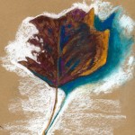 dg_leafdrawing3