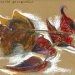 dg_leafdrawing4